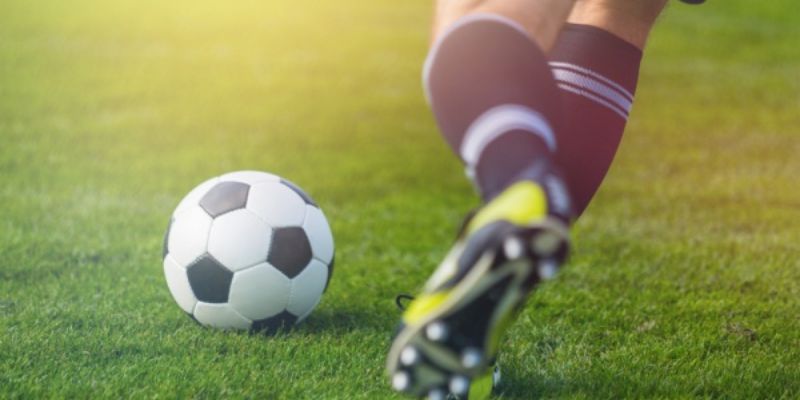 Định nghĩa bào cỏ là gì và cách vận dụng