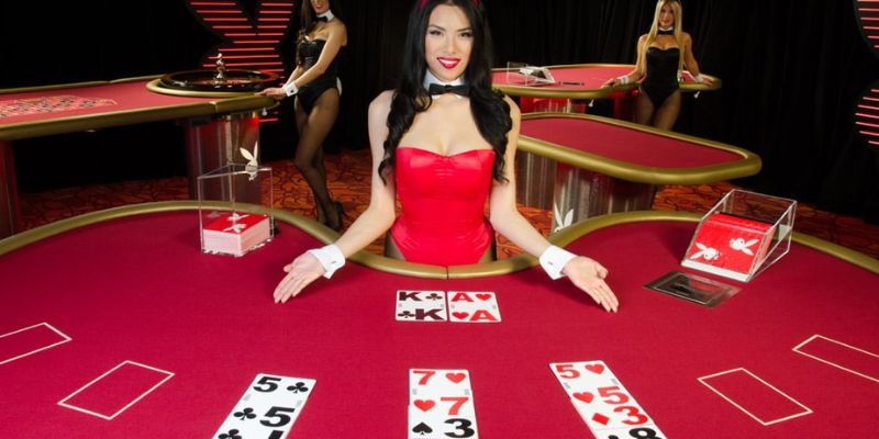Quan sát hành vi dealer tại ván blackjack
