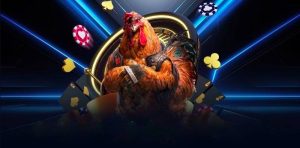 Chất lượng hình ảnh và âm thanh đá gà trực tuyến C5 rất tốt